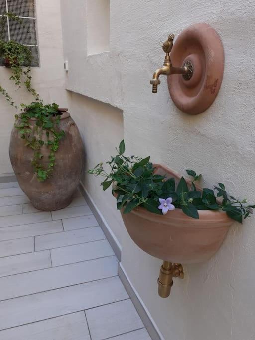 הוילה פסקרה Casa Maergilu מראה חיצוני תמונה