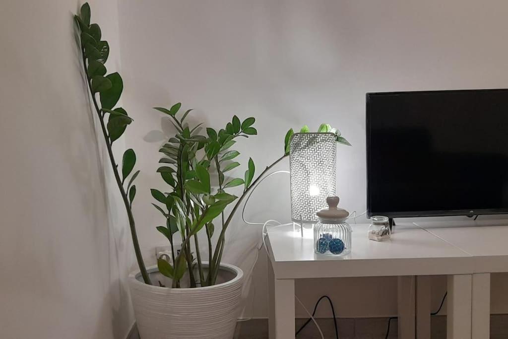 הוילה פסקרה Casa Maergilu מראה חיצוני תמונה